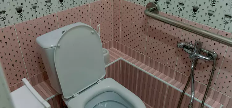 Meeting Diverse Needs With Accessible Restroom Solutions in Paradise, CA